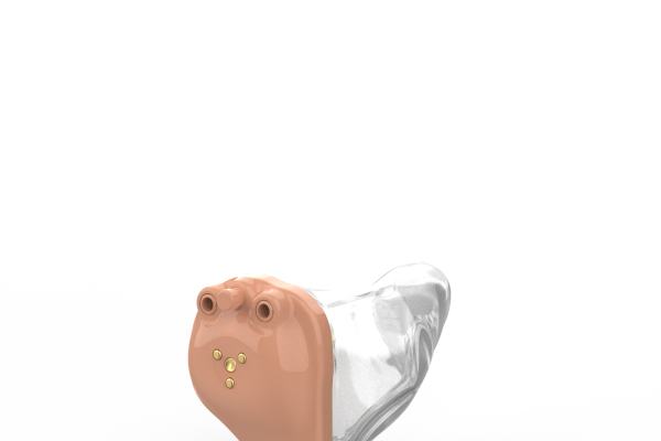 Omega AI ITC R beige transparent