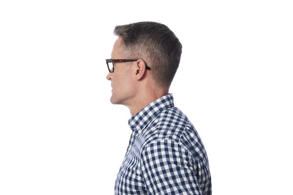 Omega AI IIC beige schwarz links Brille