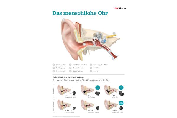 01 Poster Ohr-Anatomie NE DIN A1