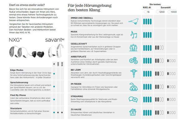 EV Beratungsflyer NE 1000-16 DIN lang